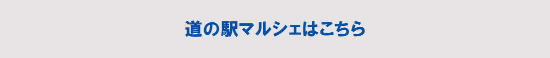 道の駅マルシェ