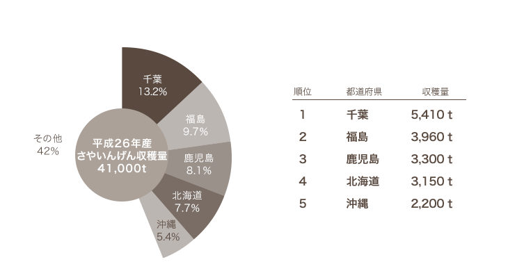 豆コレクション