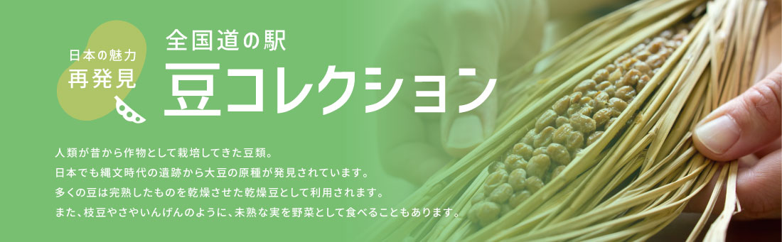 豆コレクション 豆コレクション